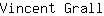 V***l