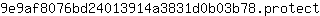 9***t