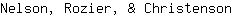 N***n