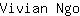 V***o