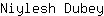 N***y
