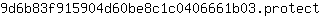 9***t