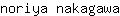 n***a