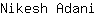 N***i