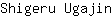 S***n