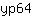 y***4