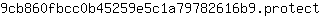 9***t