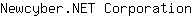N***n