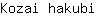 K***i