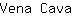 V***a
