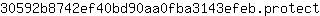 3***t