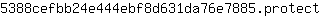 5***t