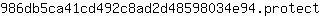 9***t