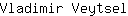 V***l