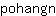p***n