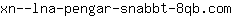 x***m