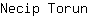 N***n