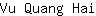 V***i