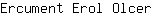 E***r