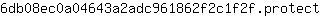 6***t