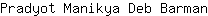 P***n