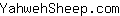 Y***m