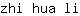 z***i