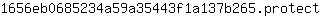 1***t