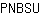P***U