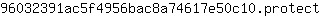 9***t