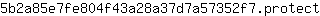 5***t