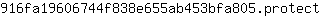 9***t