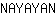 N***N