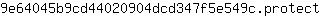 9***t