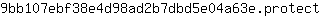 9***t