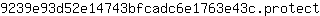 9***t