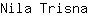 N***a