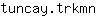 t***n
