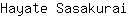 H***i