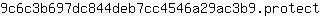 9***t