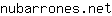 n***t