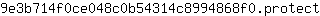 9***t