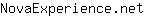 N***t