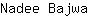 N***a