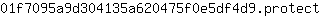 0***t