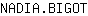 N***T