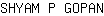 S***N
