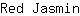 R***n