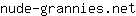 n***t