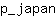 p***n